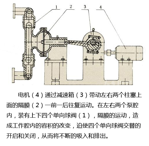 電動隔膜泵結(jié)構(gòu)圖