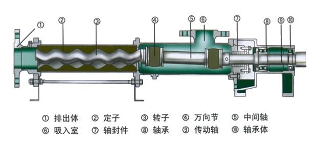 螺桿泵結(jié)構(gòu)圖